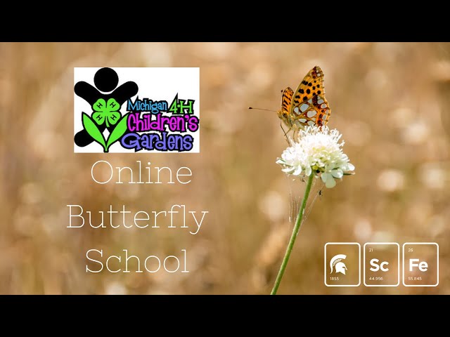 4-H Children's Garden Online Butterfly School