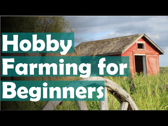 Hobby farming for beginners - advice I wish I knew when we started