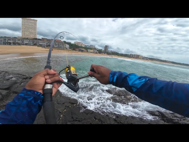 Fishing in Amanzimtoti: Durban’s Hidden Gem!