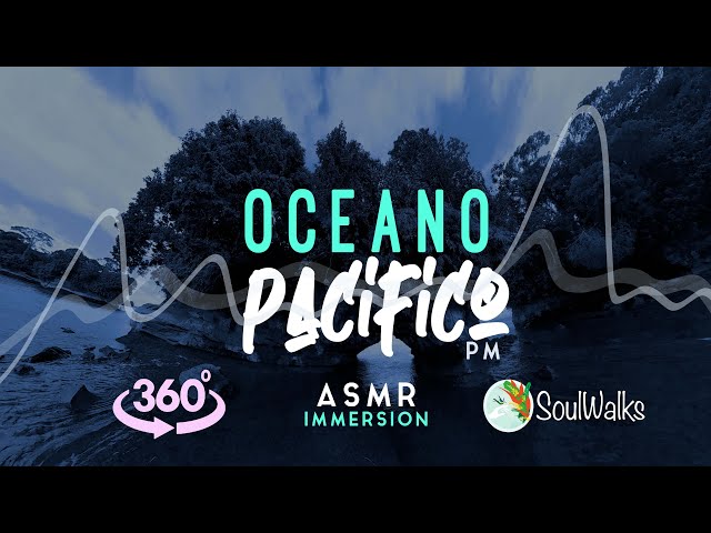 OCEANO PACIFICO 360º | ASMR Night sounds of the Colombian Pacific Ocean | BAHIA MALAGA | SOULWALKS |