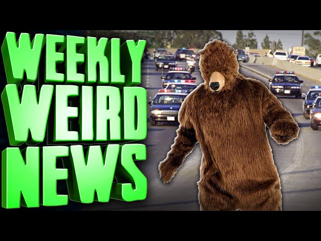 Framing Bears For Crimes - Weekly Weird News