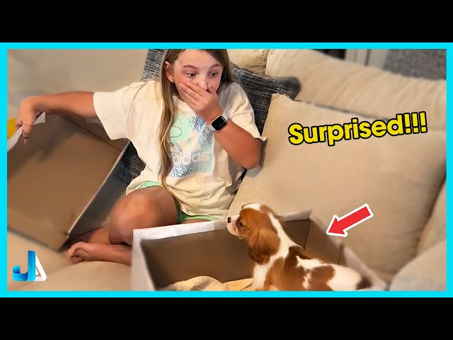 The Puppy Absolutely Made Her Day 🐶 New Puppy Surprise Compilation