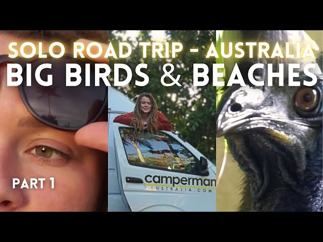 SOLO ROAD TRIP AUSTRALIA | OMG I saw a wild CASSOWARY 😱 finding empty beaches, cooking and big birds