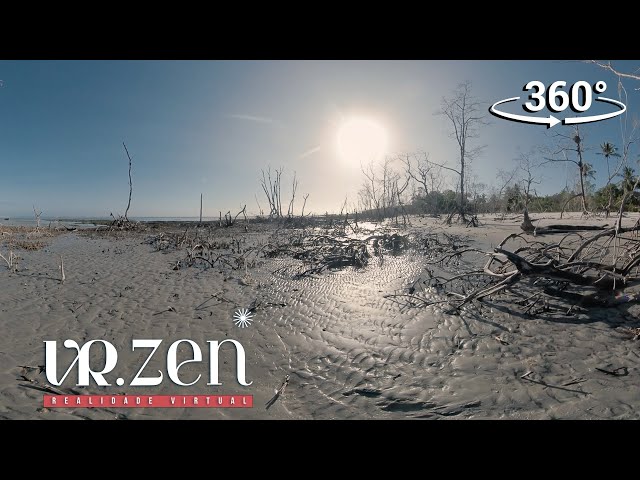 VR.ZEN EPISÓDIO 09 - ROBERTO CREMA - A coragem do não saber.