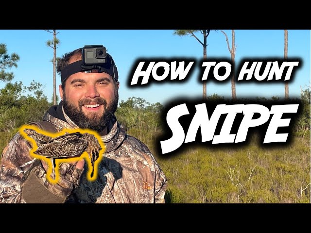 SNIPE HUNTING South Florida Public Land (SNS 2021 #19)