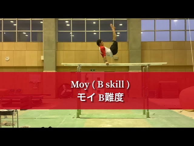 【Gymnastics】How to train Moy : Training process