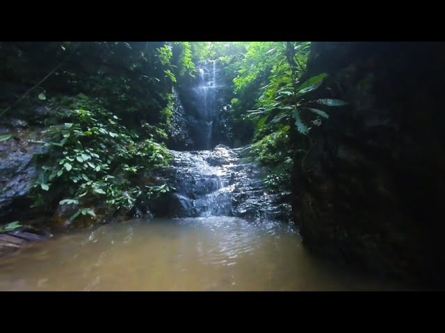 180 VR - Malaysia 2023 - Taman Negara rainforest- part 3/4