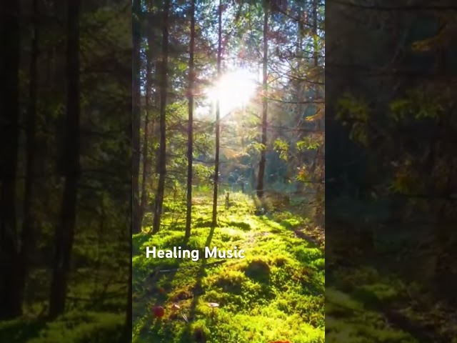 Deep Relaxation Music for Stress Relief & Inner Peace