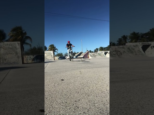 Bmx - Icepick 🥶 #bmx #bmxbike #grau #viralvideo