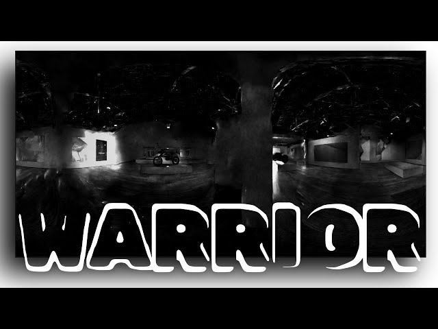 VR 360 Warrior