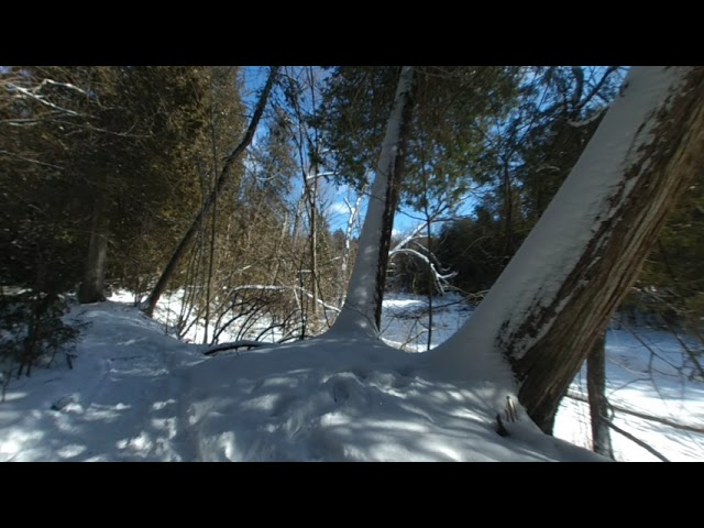 vr180 Winter duffins creek