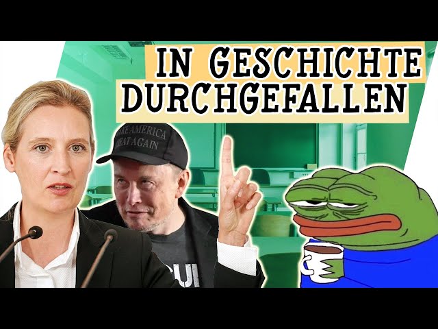 AFD Alice Weidel neuer TIEFPUNKT im Gespräch mit Elon Musk