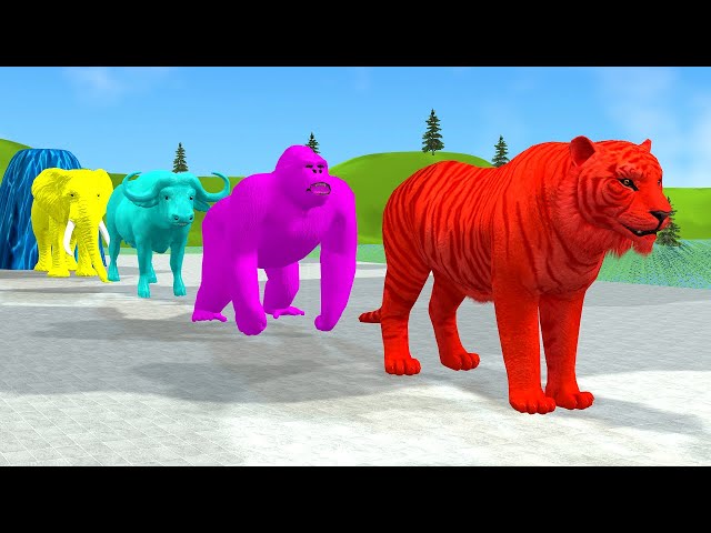 Long Slide Game With Elephant Gorilla Buffalo Hippopotamus Tiger - 3d Animal Game - Funny 3d Animals