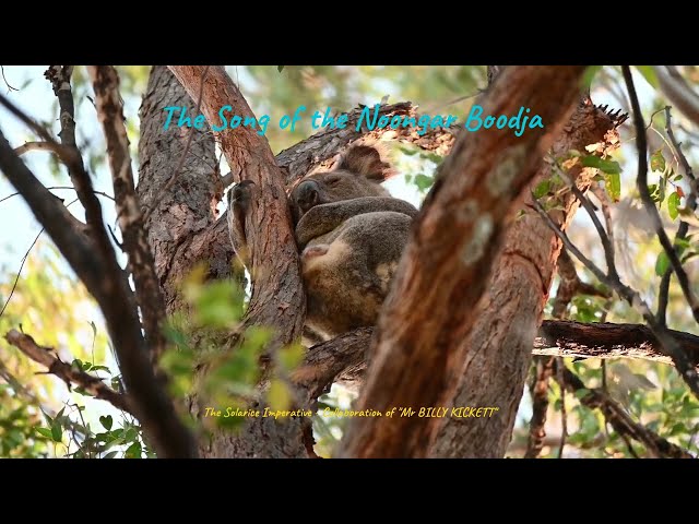 THE SONG OF THE NOONGAR BOODJA