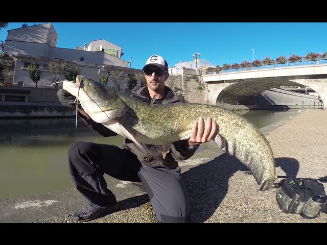 Street fishing Narbonne compètition sur le canal de la Robine | GoPro HD