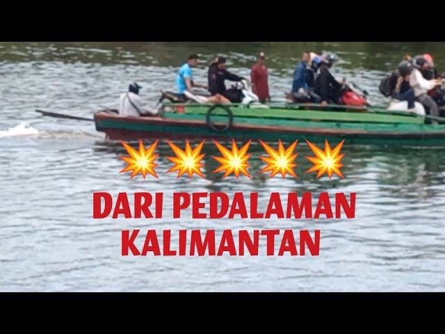 💥 PENDALAMAN KALIMANTAN