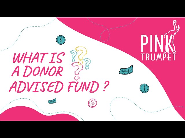 What is a Donor Advised Fund?