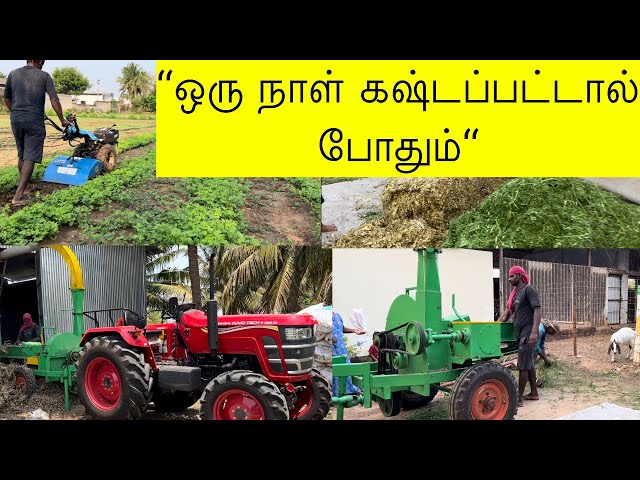 ஒரு நாள் கஷ்டம் 🦾பல நாள் லாபம்💰💰|Machinery used in goat farm🚜|