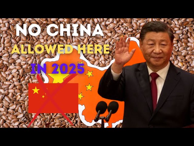 These Countries Not Allowed China in 2025