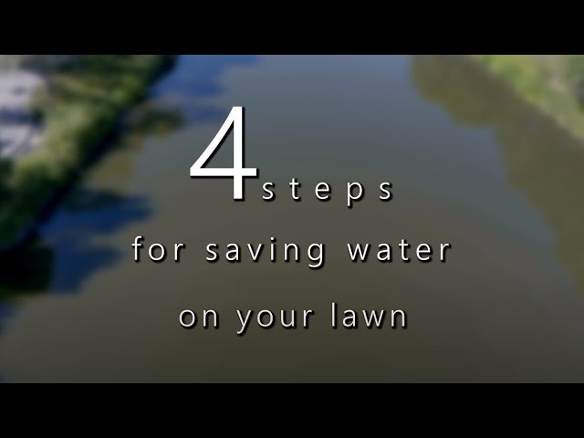 4 Steps for Saving Water on Your Lawn with Clean River Partners | Northfield, Minnesota