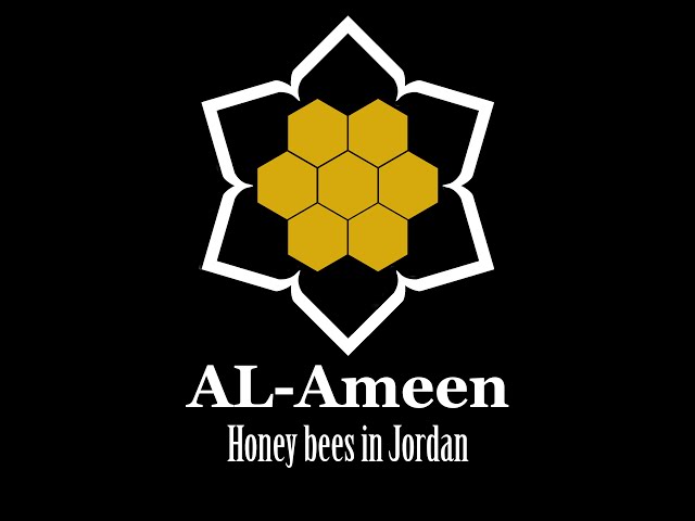 AL-Ameen نحل العسل في الاردن