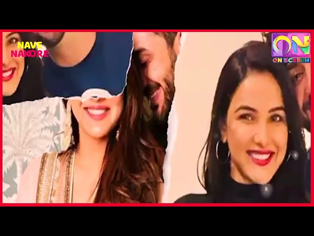 Jasmin Bhasin , ਆਪ Sikh , ਤੇ Boyfriend Musalim - ਹੋਰ ਕੀ ਹੈ ਖਾਸ ?