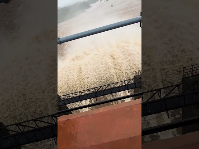 Amazing Kadra dam overflowing in rain season #dam #water #rain #shorts