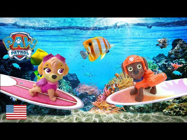 Paw Patrol Sea Patrol Full Episode Surf Transformation Beach Skate Shop Rescue Ryder Skye  Zuma