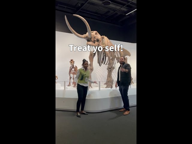 Treat yo self to a Museum visit!