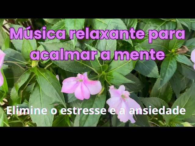 Música relaxante para acalmar a mente - Elimine o estresse e a ansiedade!