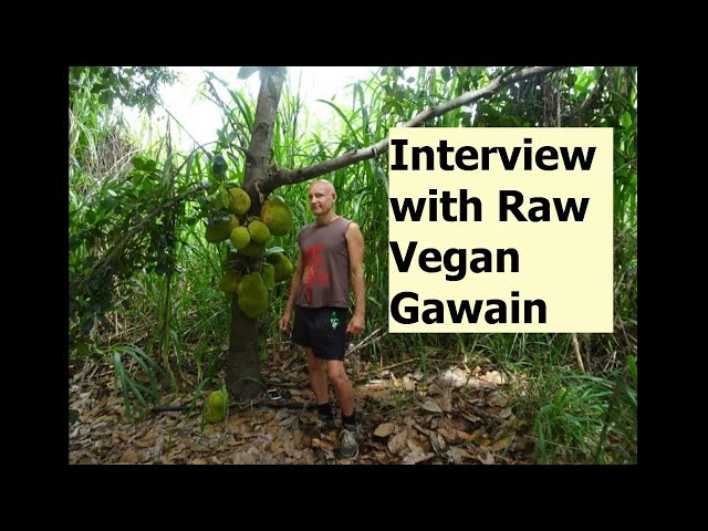 Gawain's Inspiring RAW Food Vegan Journey