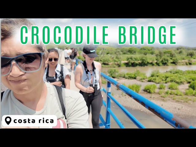 Crocodiles and Raccoons | Costa Rica 🇨🇷 VLOG 06 | JMe Parcon