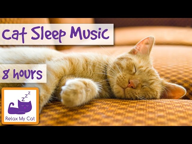 Over 8 Hours of Relaxing Music For Cats! Long Playlist For Cats. Natural Anxiety and Stress Relief