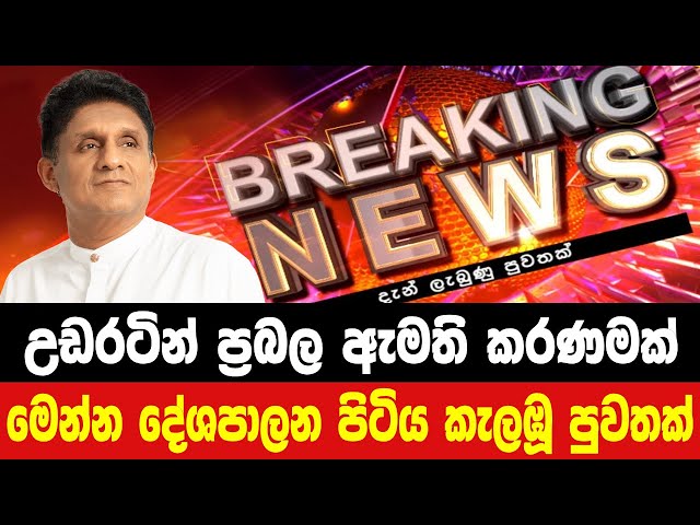 breaking news|election prediction srilanka news|hiru newa|political news|hiru tv live|news 1st