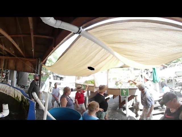 Aquaponics Seminar Day 1 Part 7