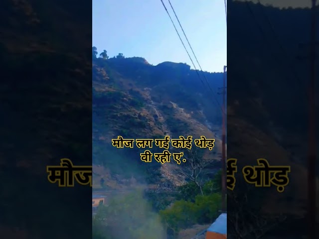 कितना प्यारा दृश्य जरूर देखें #shortsfeed #live #viralshorts #shortvideos #shorts #matarani #nature