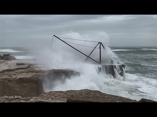 Storm BERT at Portland Bill in Dorset