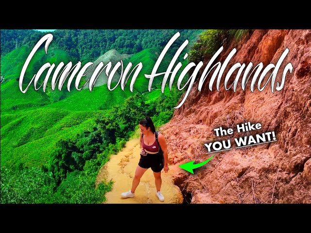 This is The Best Hike in The Cameron Highlands | Tanah Rata Vlog 🇲🇾