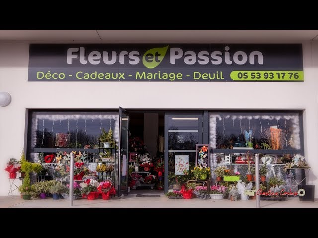 Fleurs et Passion, Damazan. 3D VR 360°