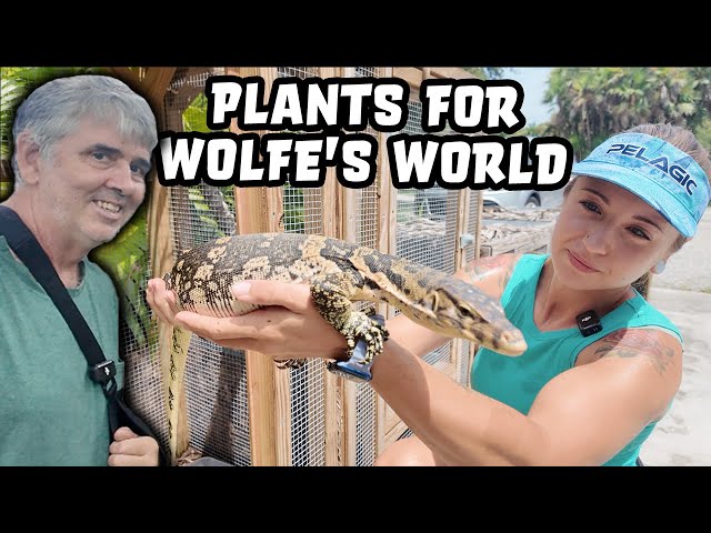 Plants for Wolfe's World