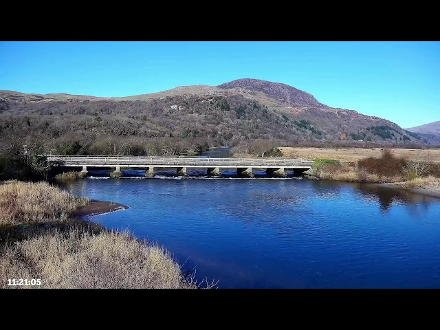 Bywyd Gwyllt Glaslyn Wildlife - Ffrwd Byw / Live Stream 2