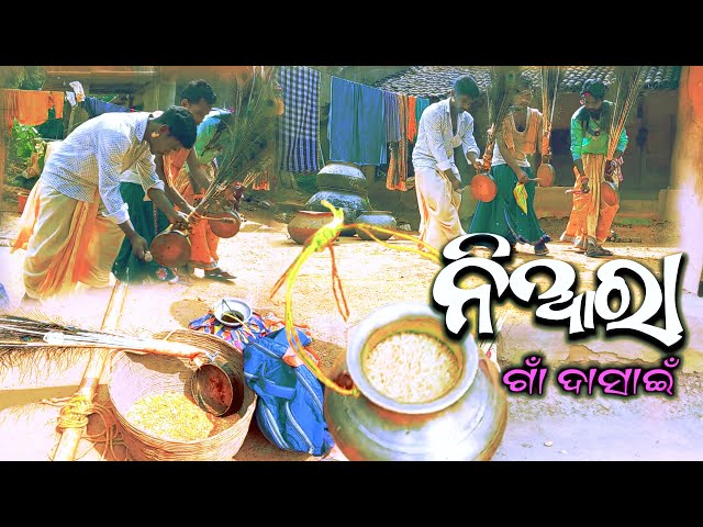 Munda tribe tradition || tribe dasahara culture || village tribal life