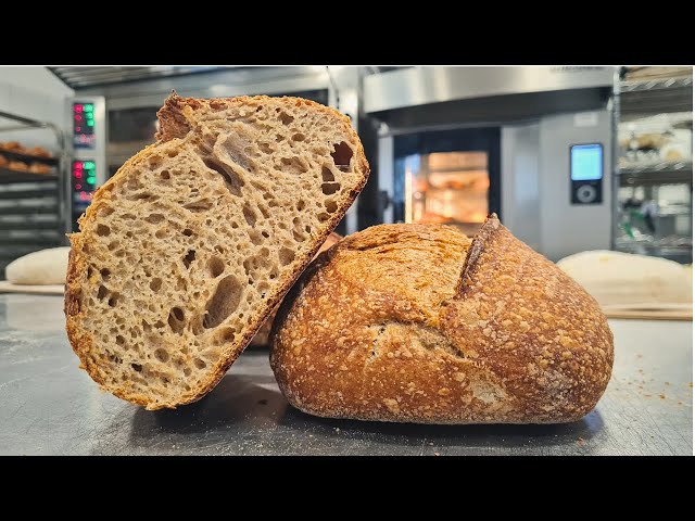 SPELT BREAD RECIPE - 100% Sourdough