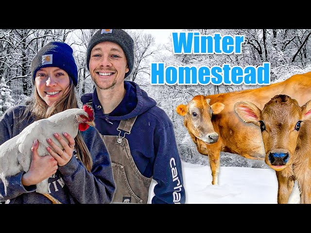 Our Homestead Adventures This Winter - Winter Recap 2023