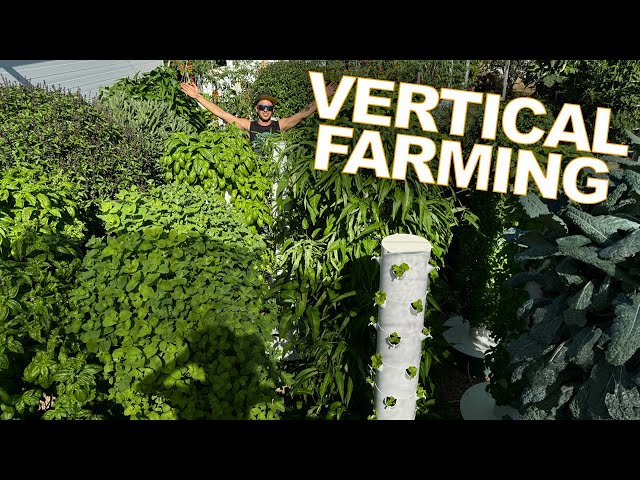 Revolutionary Farming Method: Unveiling Our Aeroponic Vertical Farm