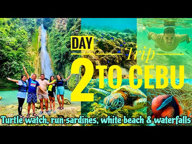 Trip to Cebu | Day 2 - Turtle Watch, Sardines Run, White Sand Beach & Waterfalls