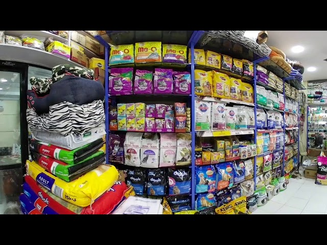 All 4 pet care (360° video)