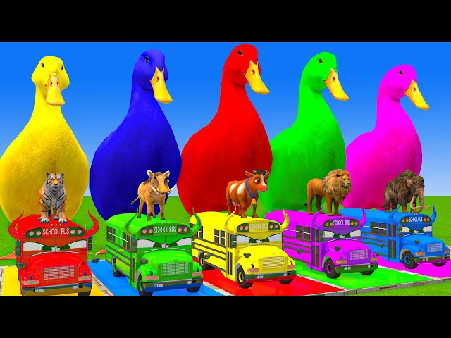 5 Giant Duck Cartoon,Cow,Elephant,Tiger,Lion,Gorilla, Paint Wild Animals Crossing Fountain Animation