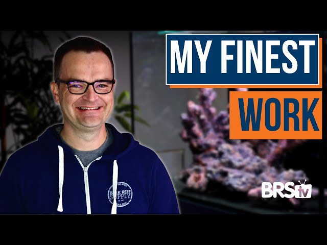 7 Considerations for Aquascaping Your Reef Tank! EP: 13