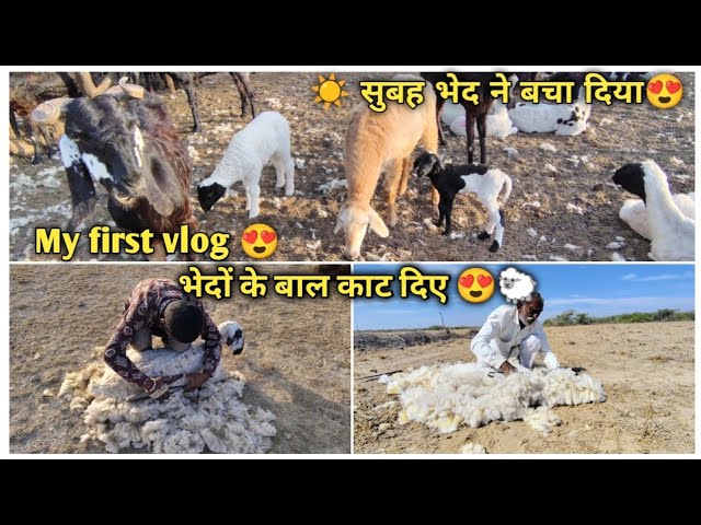 My first vlog on YouTube 😍|| Jigo_rabari_vlogs 👳 ||